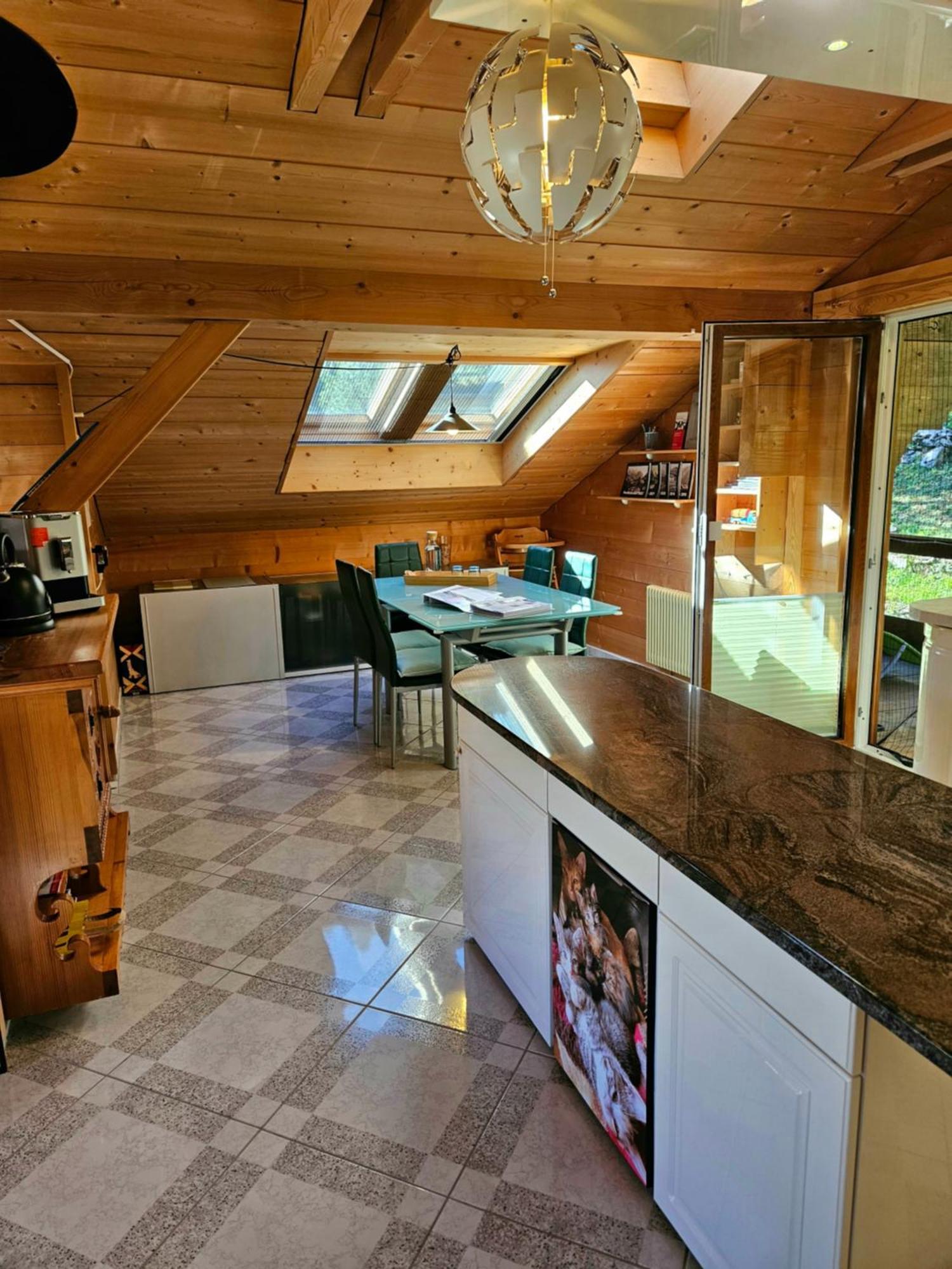 Gemuetliche Fewo Mit Sauna Inmitten Der Berge Meiringen Exterior foto