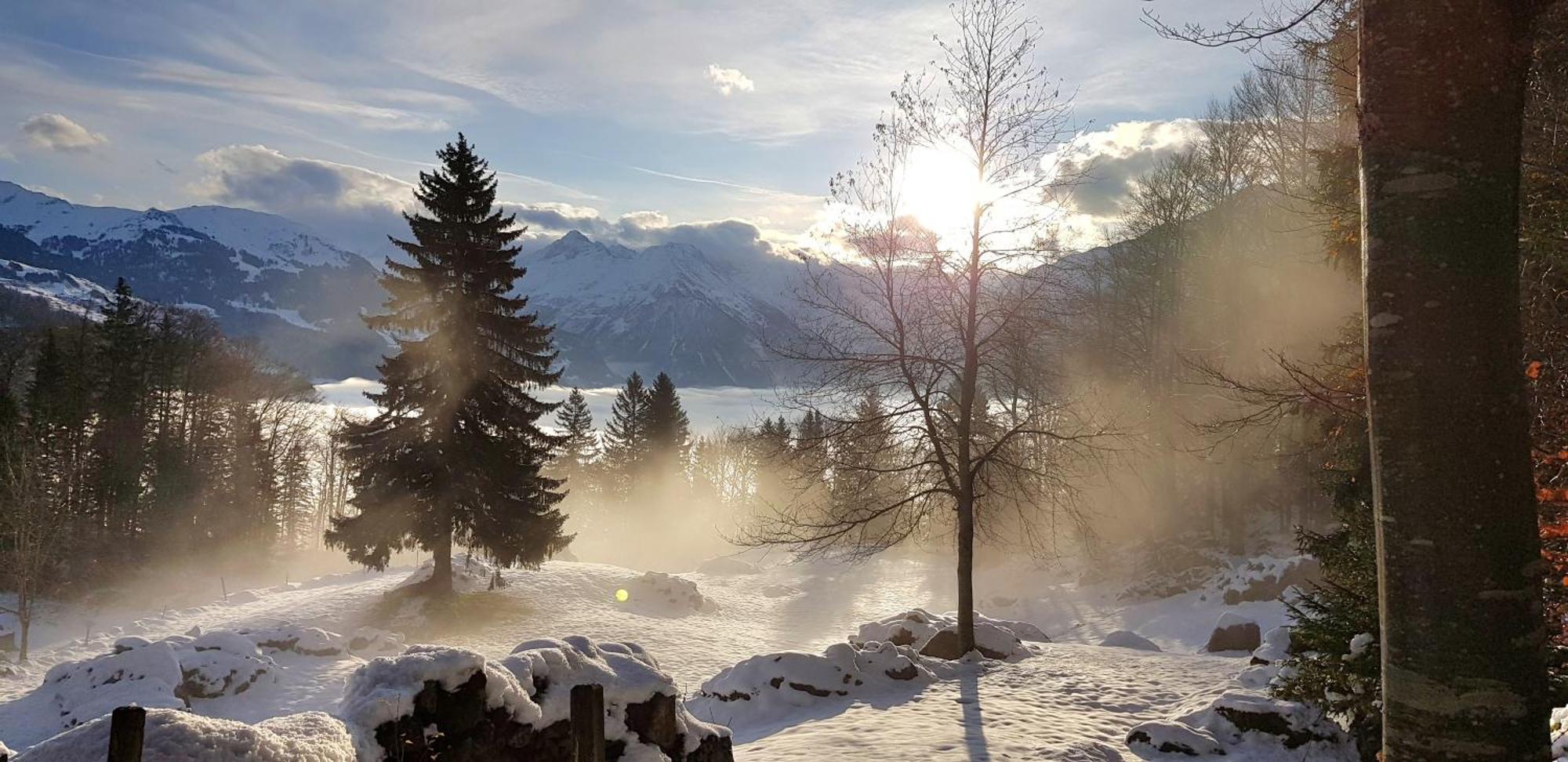 Gemütliche FeWo mit Sauna inmitten der Berge Apartamento Meiringen Exterior foto