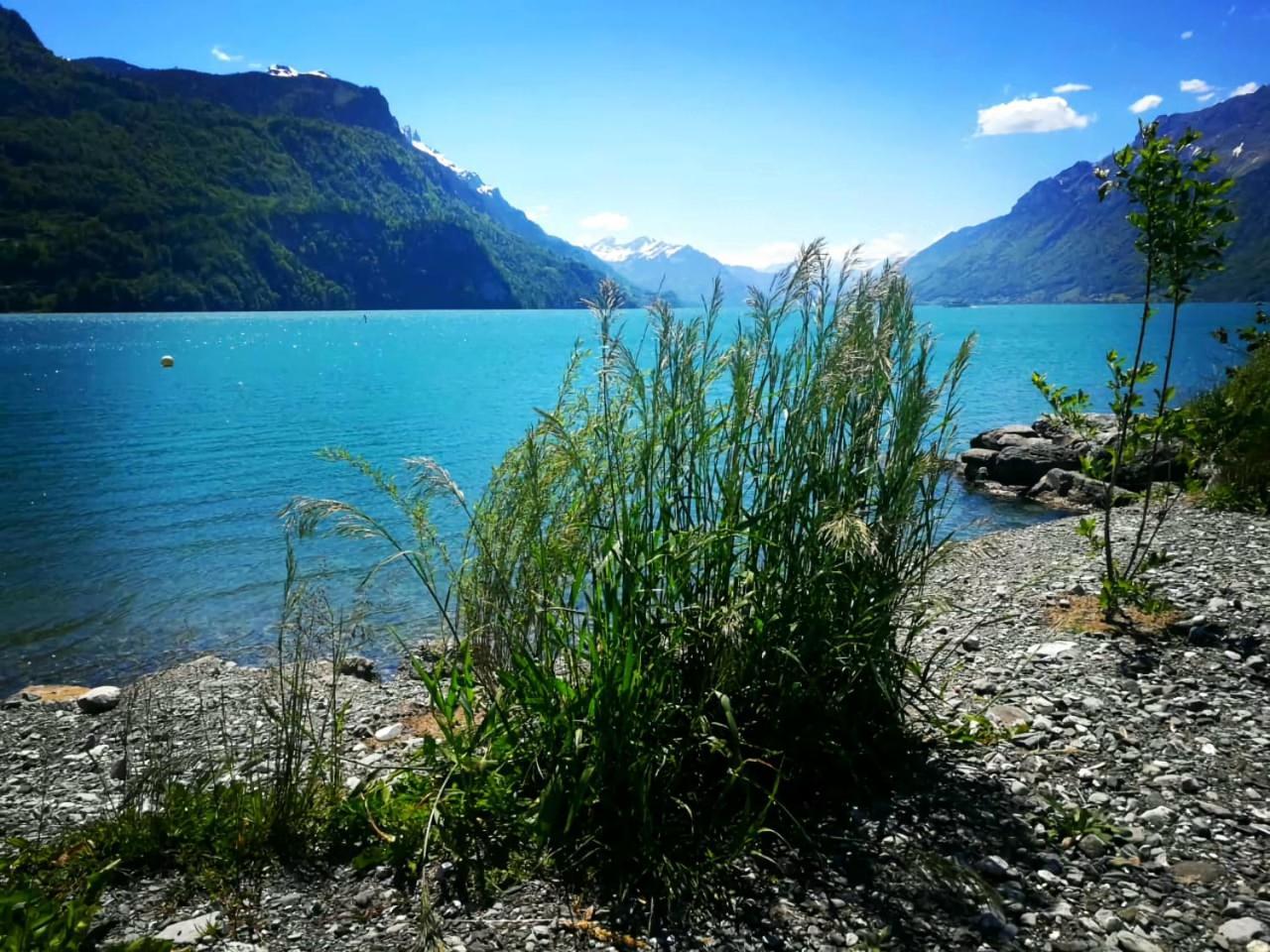 Gemütliche FeWo mit Sauna inmitten der Berge Apartamento Meiringen Exterior foto