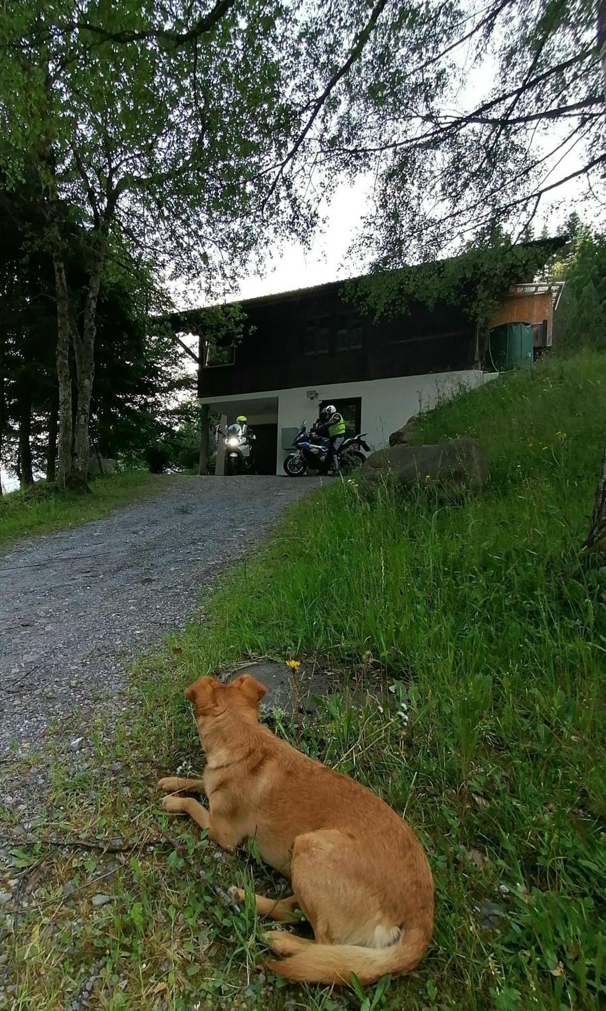 Gemütliche FeWo mit Sauna inmitten der Berge Apartamento Meiringen Exterior foto