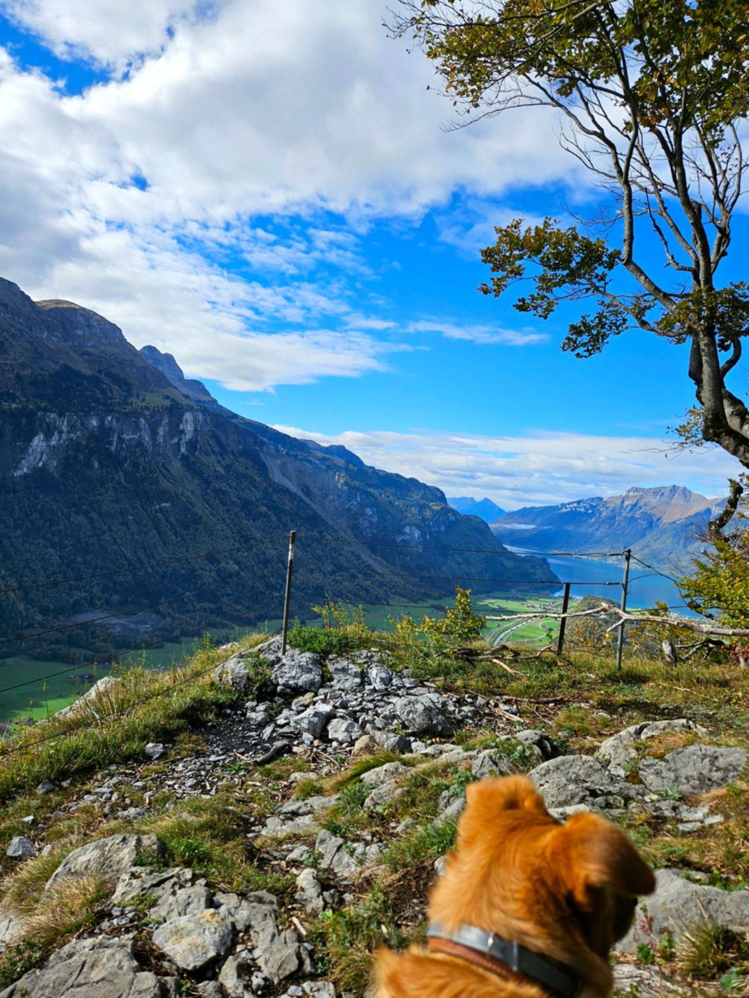 Gemütliche FeWo mit Sauna inmitten der Berge Apartamento Meiringen Exterior foto