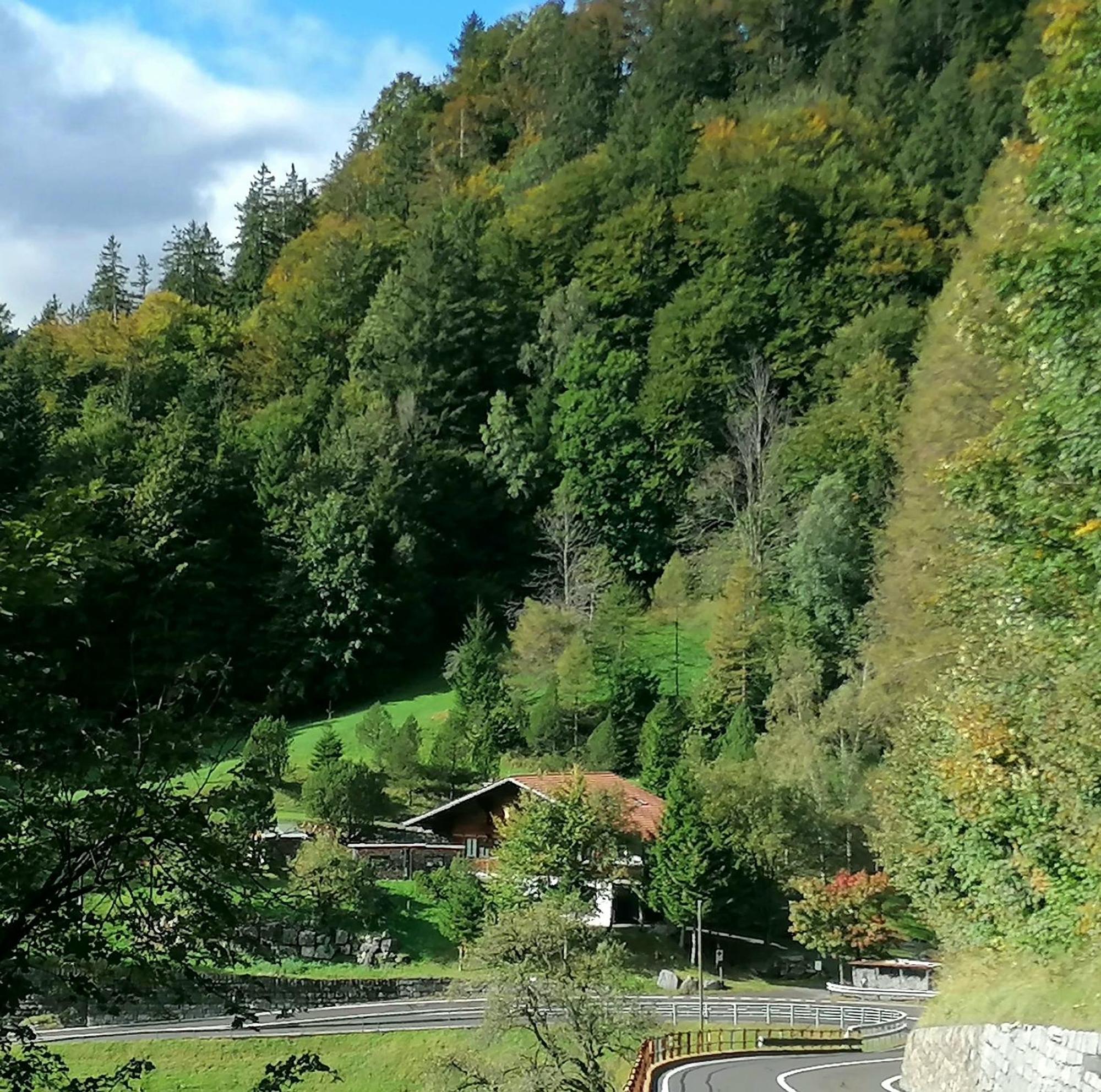 Gemütliche FeWo mit Sauna inmitten der Berge Apartamento Meiringen Exterior foto